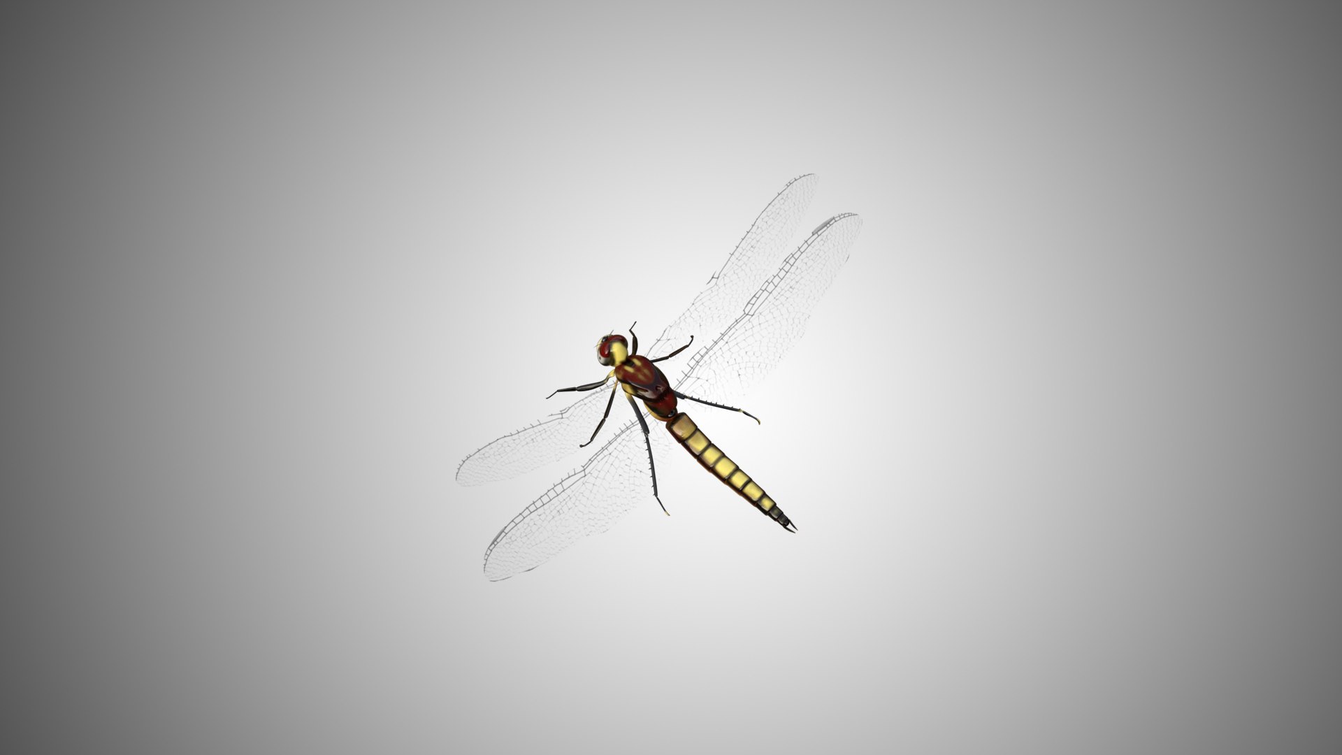 3D rigged https://p.turbosquid.com/ts-thumb/8r/Mmv5fe/SGPC037Z/dragon_fly00/jpg/1596786414/1920x1080/fit_q87/b278c5eac04781e48459972be126bfa18a6ed776/dragon_fly00.jpg