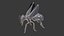 Insect low poly rigged Collection