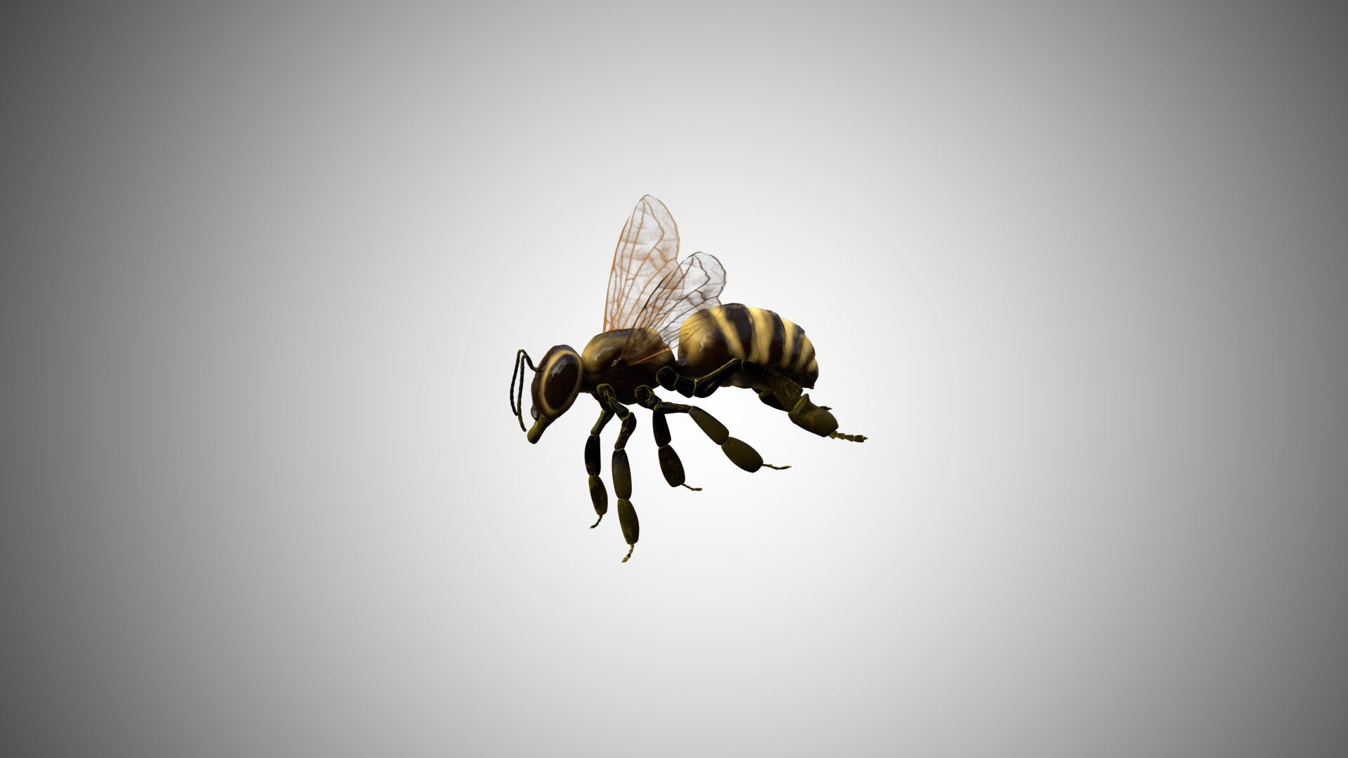 3D rigged https://p.turbosquid.com/ts-thumb/8r/Mmv5fe/pdpQUQeF/bee06/jpg/1596786150/1920x1080/fit_q87/1da7864ef0269944fc524ebb2fcb8abd84d4f13e/bee06.jpg