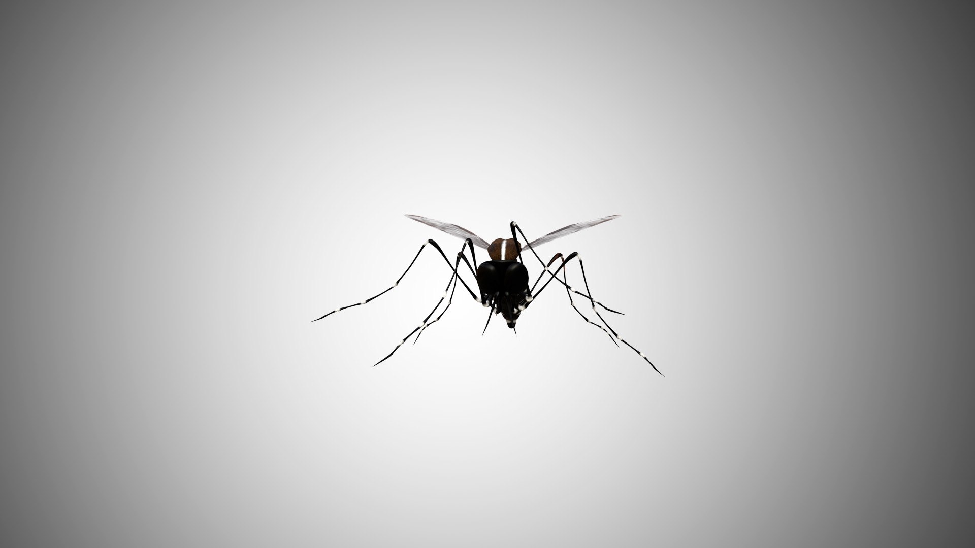 3D rigged https://p.turbosquid.com/ts-thumb/8r/Mmv5fe/qbhHaZOh/mosquito_04/jpg/1596786349/1920x1080/fit_q87/b8c506f1dca7b9edec42e43059868a099a6f45e7/mosquito_04.jpg