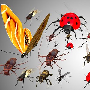 Insect low poly rigged Collection