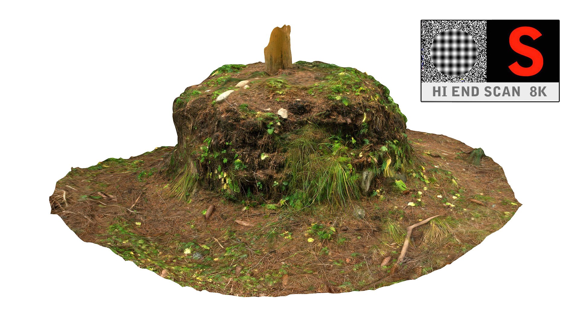 3d Forest Trunk Model 3d Forest Trunk Model