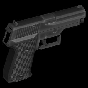 9 mm Pistol (Sig 225)