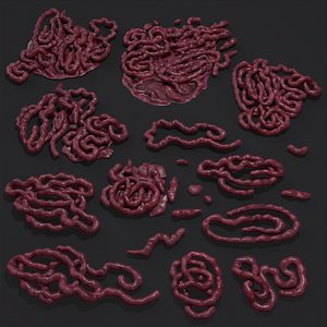 Intestines
