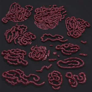 Intestines