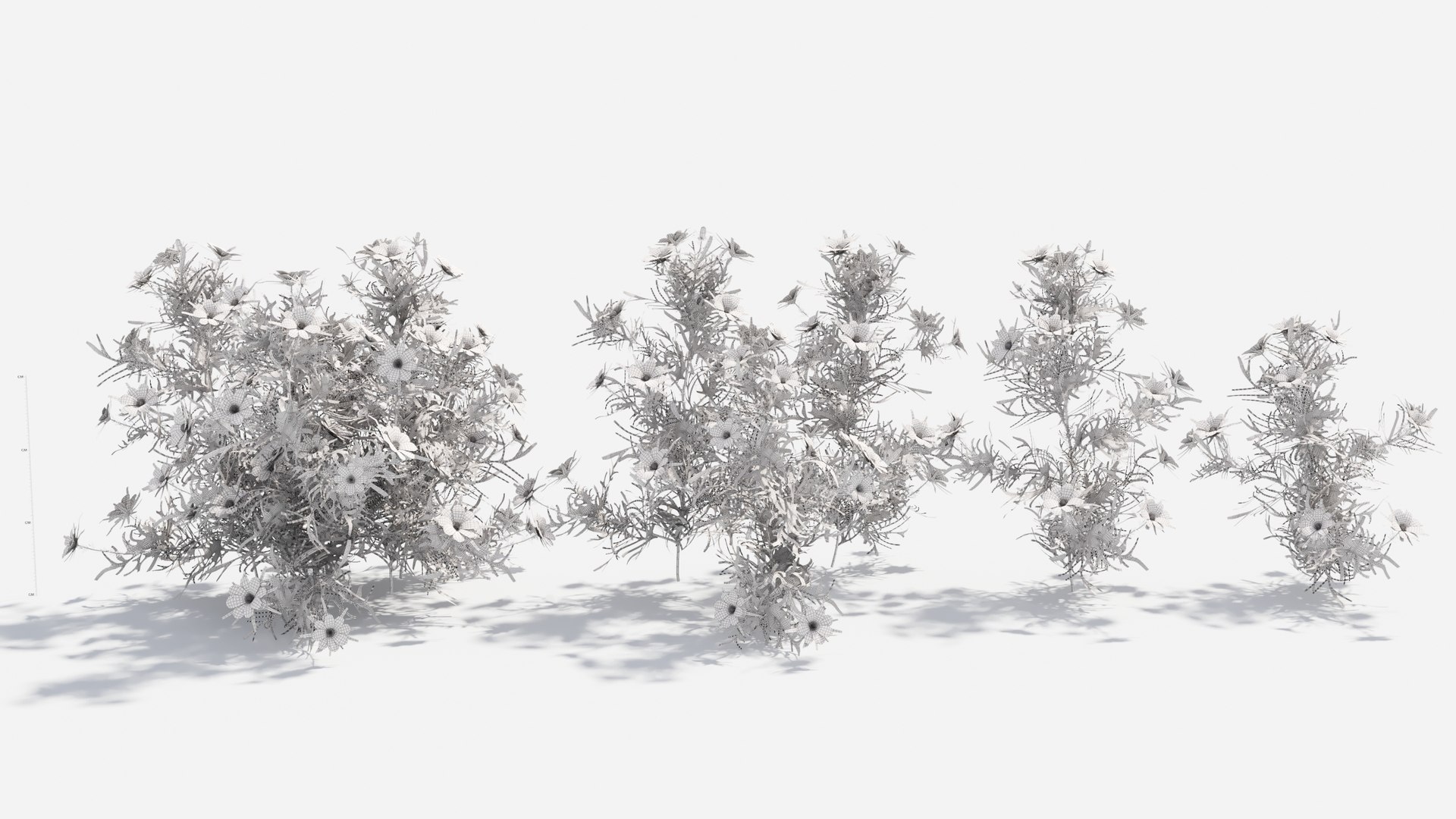 3D Cosmos bipinnatus-2 model https://p.turbosquid.com/ts-thumb/8r/fPO1q7/rn/cosmos3/jpg/1661757644/1920x1080/fit_q87/6aaac36e81c7cea1c6bd82d5574871b73ced5f7d/cosmos3.jpg