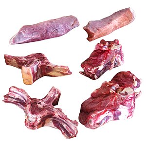 Meat set 002 model