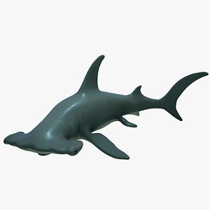 3D rigged hammerhead shark model