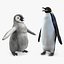 emperor penguin baby model