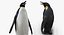 emperor penguin baby model