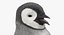 emperor penguin baby model