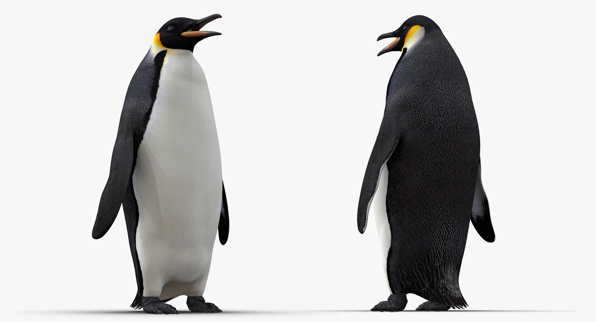 邦楽 Clippers-King penguin/Wicked babylon maxresdefault.jpg?sqp=-