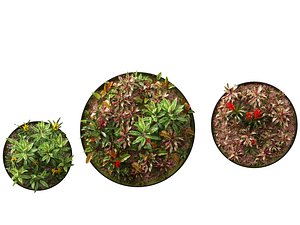Vertical Garden - Vibrant Color Pop Green Wall