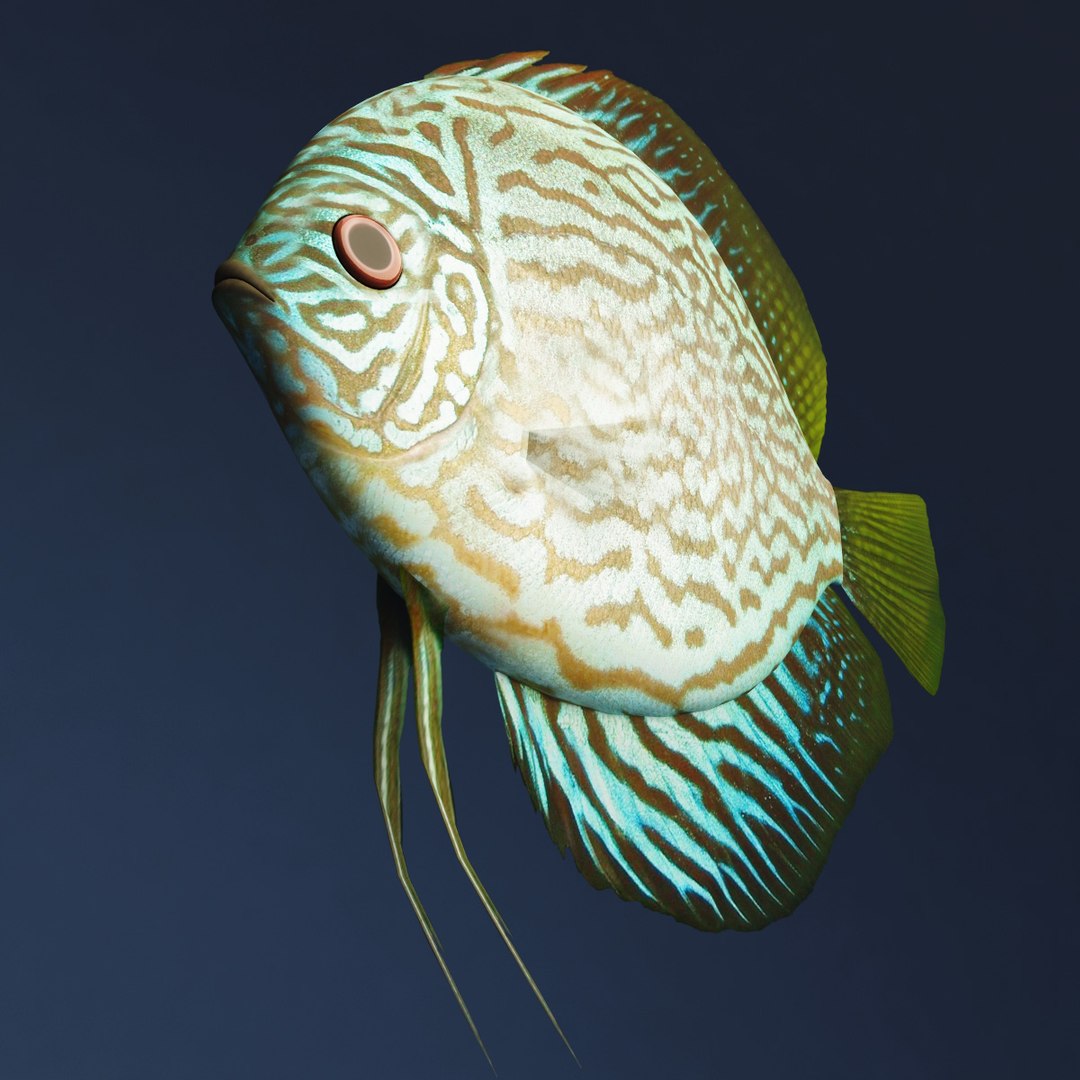 3ds max diskus blue