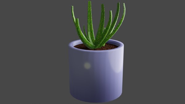 3D Aloe Vera Plant 3D model