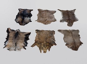 Animal Pelts 3D model