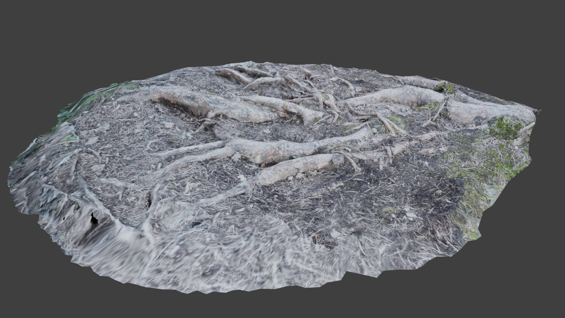 Scanned Roots 3D Model - TurboSquid 1703568