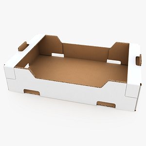 Fruit Cardboard Box v1 White model