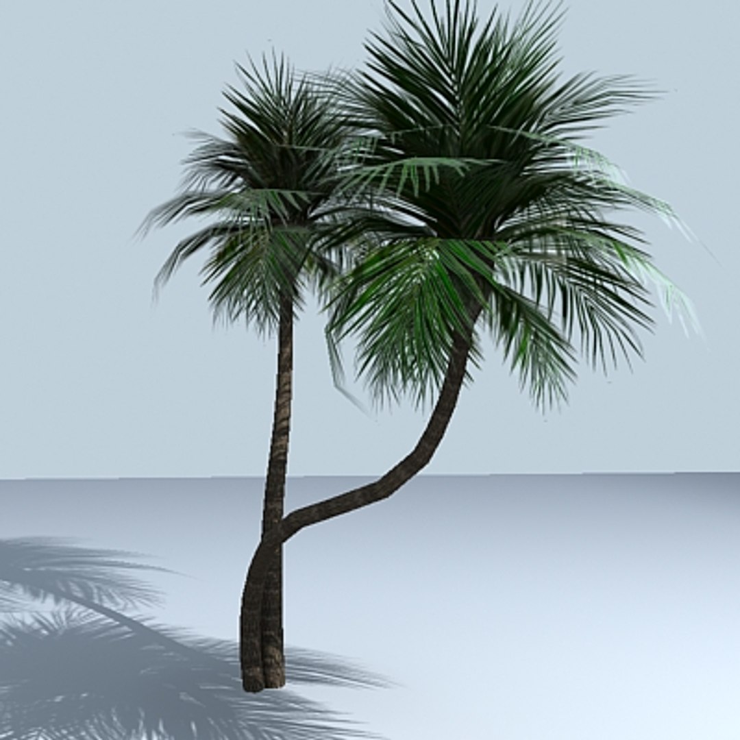 Palm Trees 3d Max
