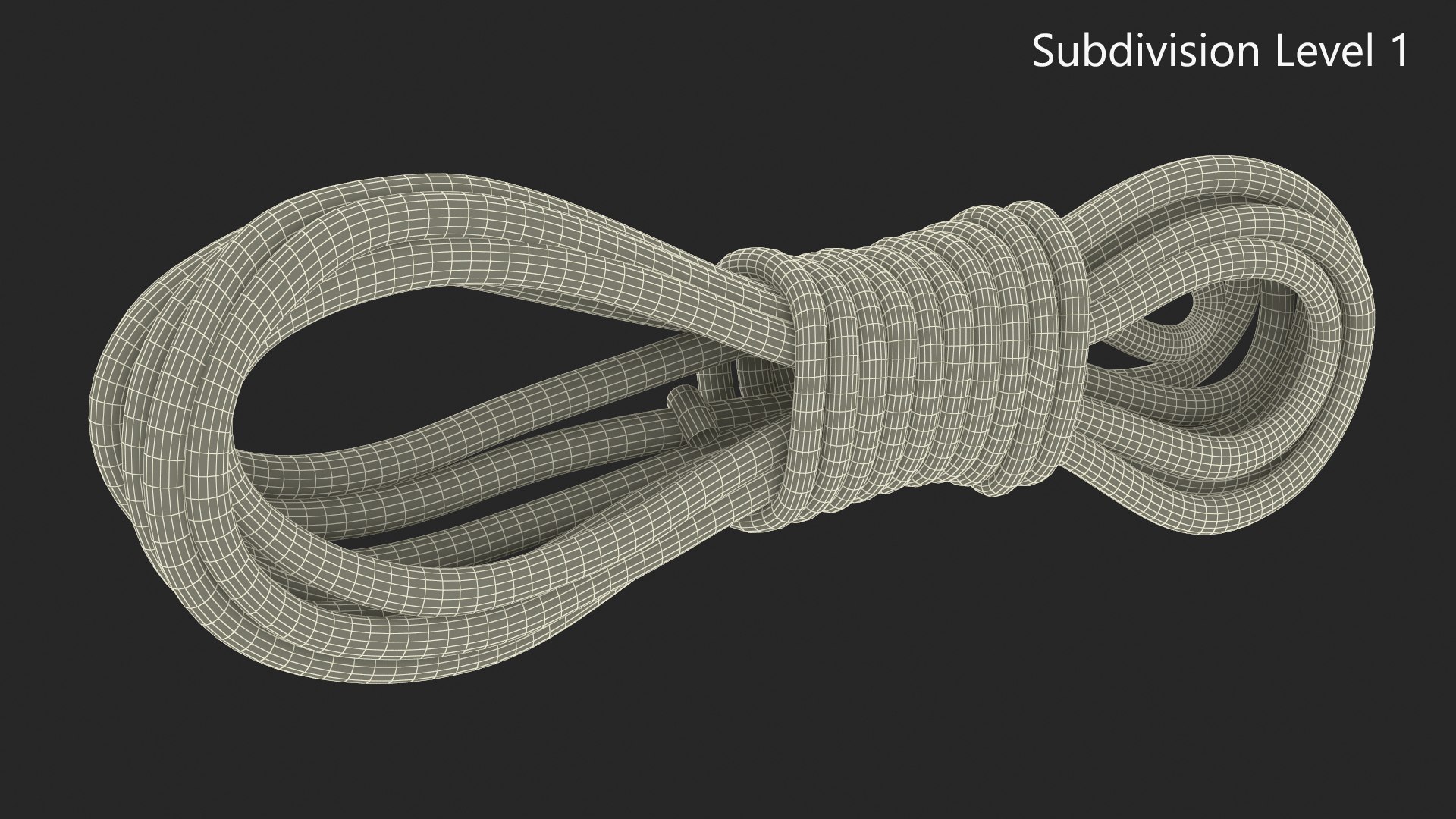 Dirty Rope Bundle Model - TurboSquid 2326767