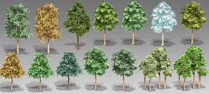 Trees forest roots dead wood rattan mushroom flowers vegetation 3D