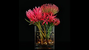 Plant 43 model