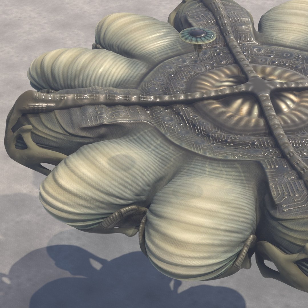 organic ufo flying saucer 3d model https://p.turbosquid.com/ts-thumb/8s/cfONLX/94N1gQ2O/ufosatellite17/jpg/1484248173/1920x1080/fit_q87/2c7046adfc71bc96dd59bdfffe35d49185a5970a/ufosatellite17.jpg