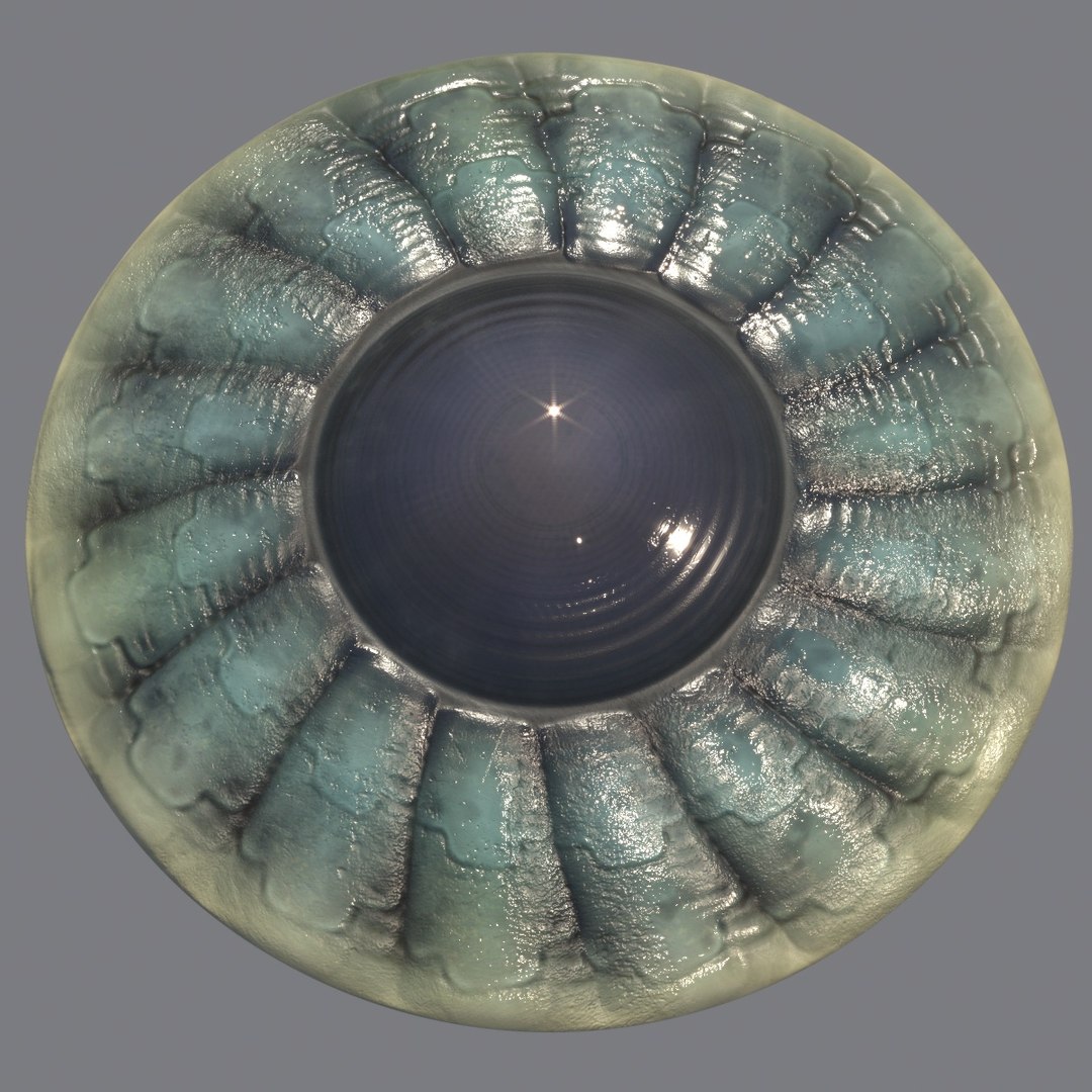 organic ufo flying saucer 3d model https://p.turbosquid.com/ts-thumb/8s/cfONLX/PbHmS2dx/ufosatellite13/jpg/1484248173/1920x1080/fit_q87/aebc57a878f51725aeabaf7d6d8e6eedc43dd556/ufosatellite13.jpg