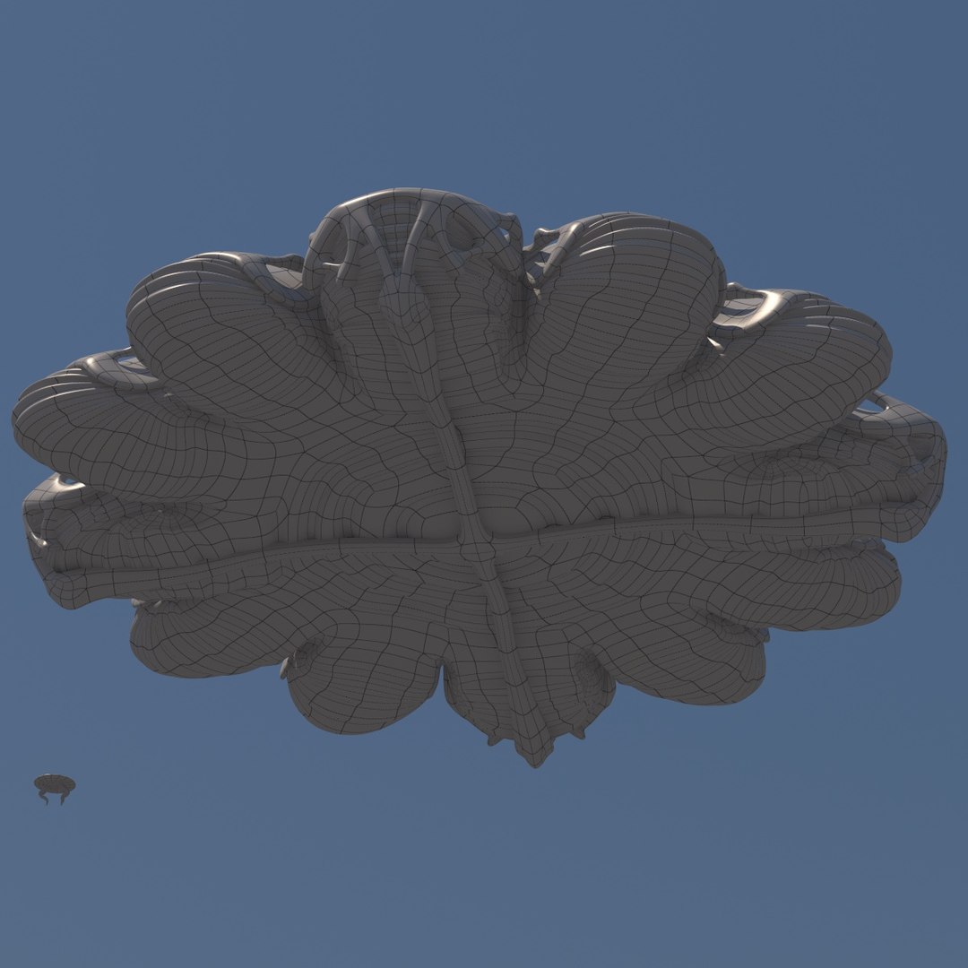organic ufo flying saucer 3d model https://p.turbosquid.com/ts-thumb/8s/cfONLX/cjn94G2f/ufosatellitewireframe0004/jpg/1484248173/1920x1080/fit_q87/ed20905df5f2fd3da63534eaf4630841241ebbff/ufosatellitewireframe0004.jpg