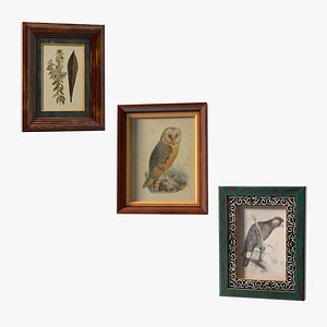 3D Picture Frames Collection 5 model