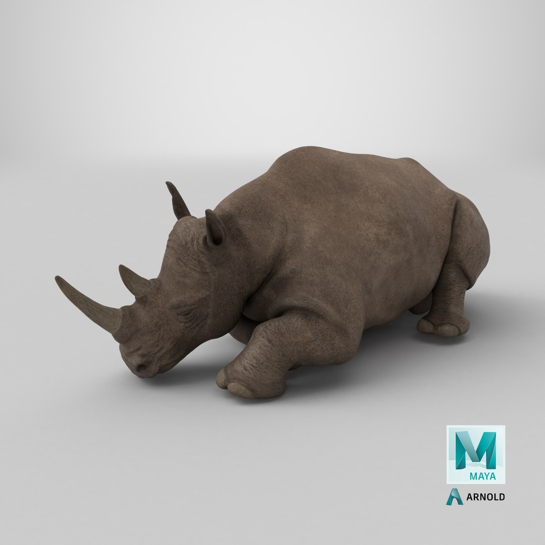 3D model Sleeping Rhino https://p.turbosquid.com/ts-thumb/8s/g6GNtb/C9/stemcell_maya_arnold_render/png/1710958715/1920x1080/fit_q87/e8210fc4e4f1fc78a1f0f88b2471e0022a8a034d/stemcell_maya_arnold_render.jpg