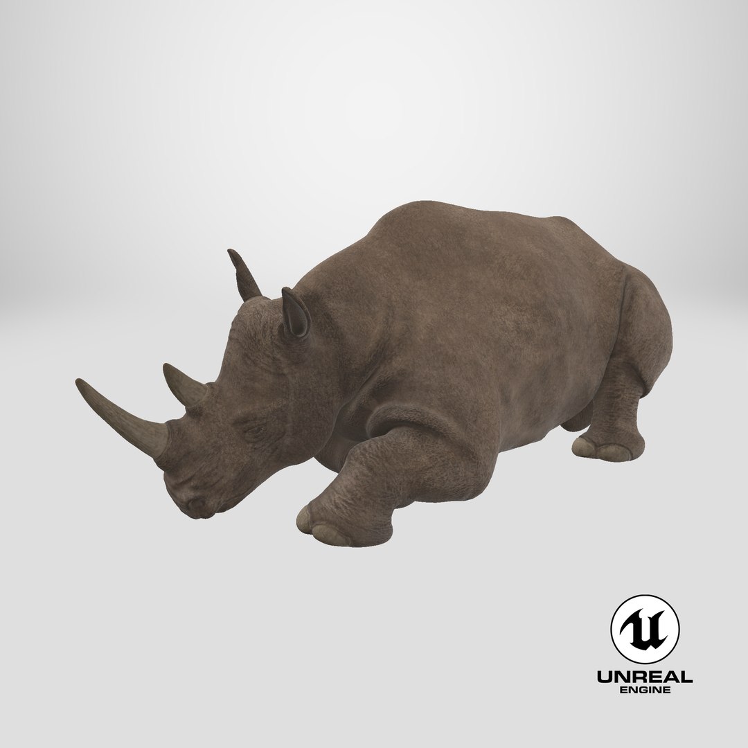 3D model Sleeping Rhino https://p.turbosquid.com/ts-thumb/8s/g6GNtb/Fm/stemcell_unreal_render/png/1710958727/1920x1080/fit_q87/775ddc6ed967fdd6277187c90596fb2447eaddc9/stemcell_unreal_render.jpg