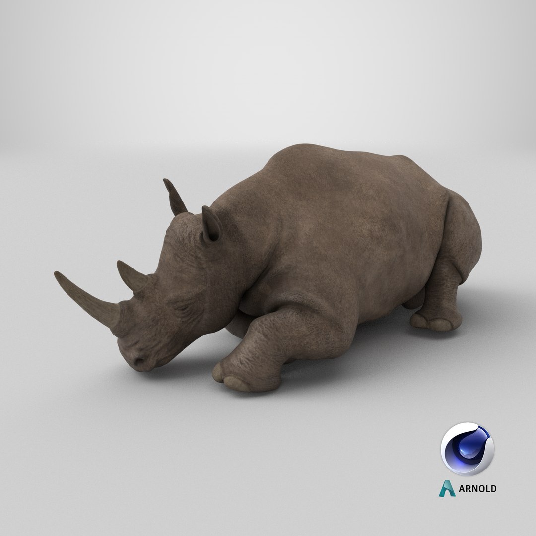 3D model Sleeping Rhino https://p.turbosquid.com/ts-thumb/8s/g6GNtb/I0/stemcell_cinema_4d_arnold_render/png/1710958720/1920x1080/fit_q87/e9092b00dc43e50530ddd28a4b61efe94c66087a/stemcell_cinema_4d_arnold_render.jpg