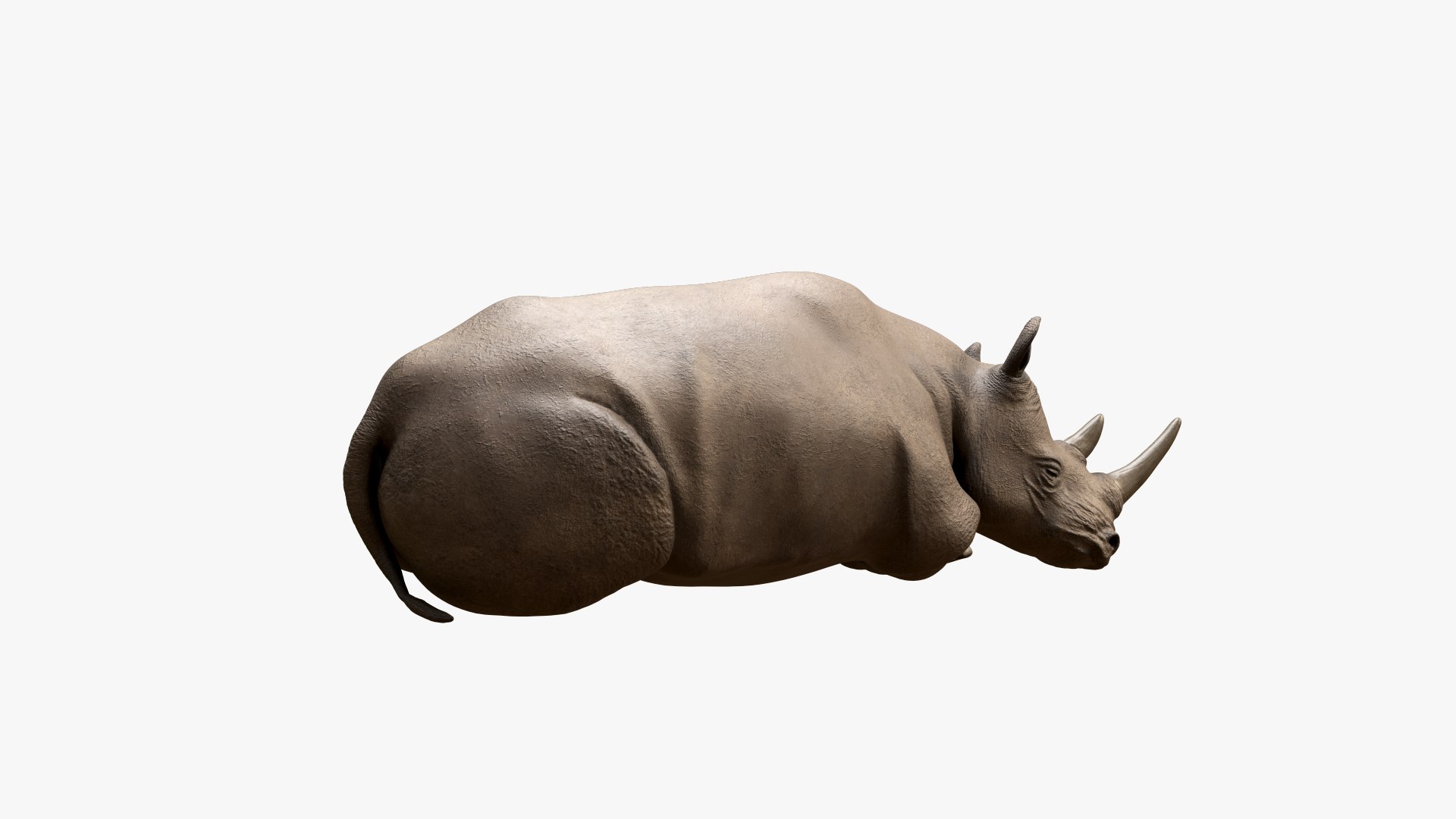 3D model Sleeping Rhino https://p.turbosquid.com/ts-thumb/8s/g6GNtb/Wc/sleepingrhino_05/jpg/1620936814/1920x1080/fit_q87/60658076be791eb43c0f973ac562b0a0ee8829db/sleepingrhino_05.jpg