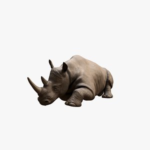 3D model Sleeping Rhino