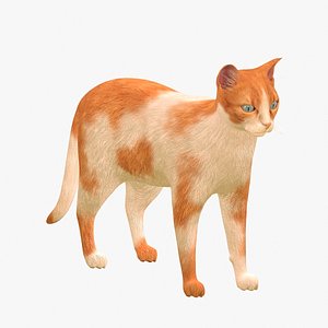Cat White Orange 3D model