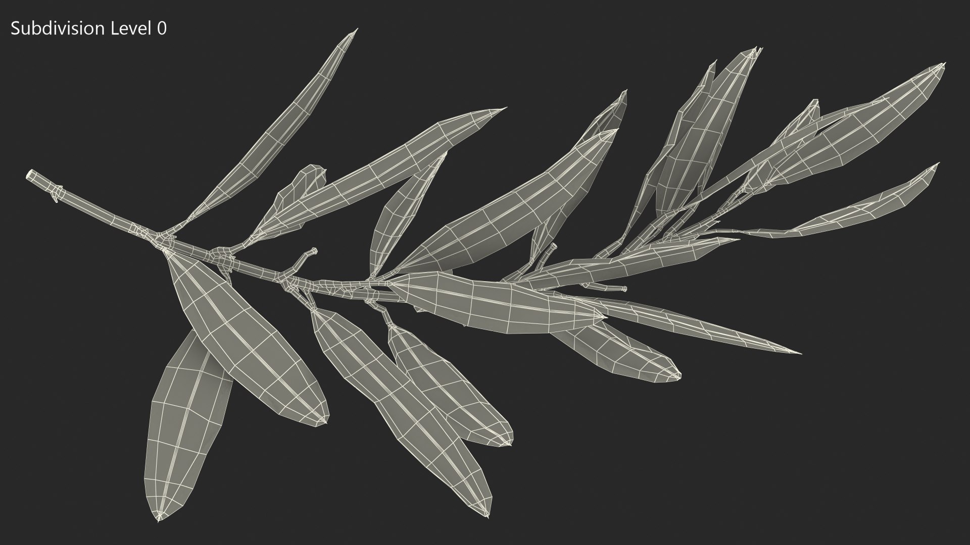 Olive Tree Branch No Olives 3D https://p.turbosquid.com/ts-thumb/8s/maihDj/Ag/olivetreebranchnoolivesvray3dmodel014/jpg/1661158411/1920x1080/fit_q87/1092ad20800d6266c7e81e3e73821999bd14598e/olivetreebranchnoolivesvray3dmodel014.jpg