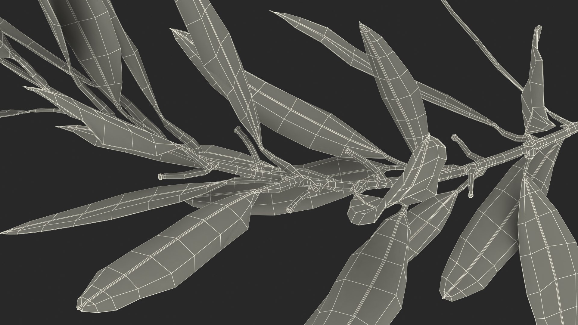 Olive Tree Branch No Olives 3D https://p.turbosquid.com/ts-thumb/8s/maihDj/EB/olivetreebranchnoolivesvray3dmodel023/jpg/1661158438/1920x1080/fit_q87/207fc2d2ba173886b53076e67372bf0173e49926/olivetreebranchnoolivesvray3dmodel023.jpg