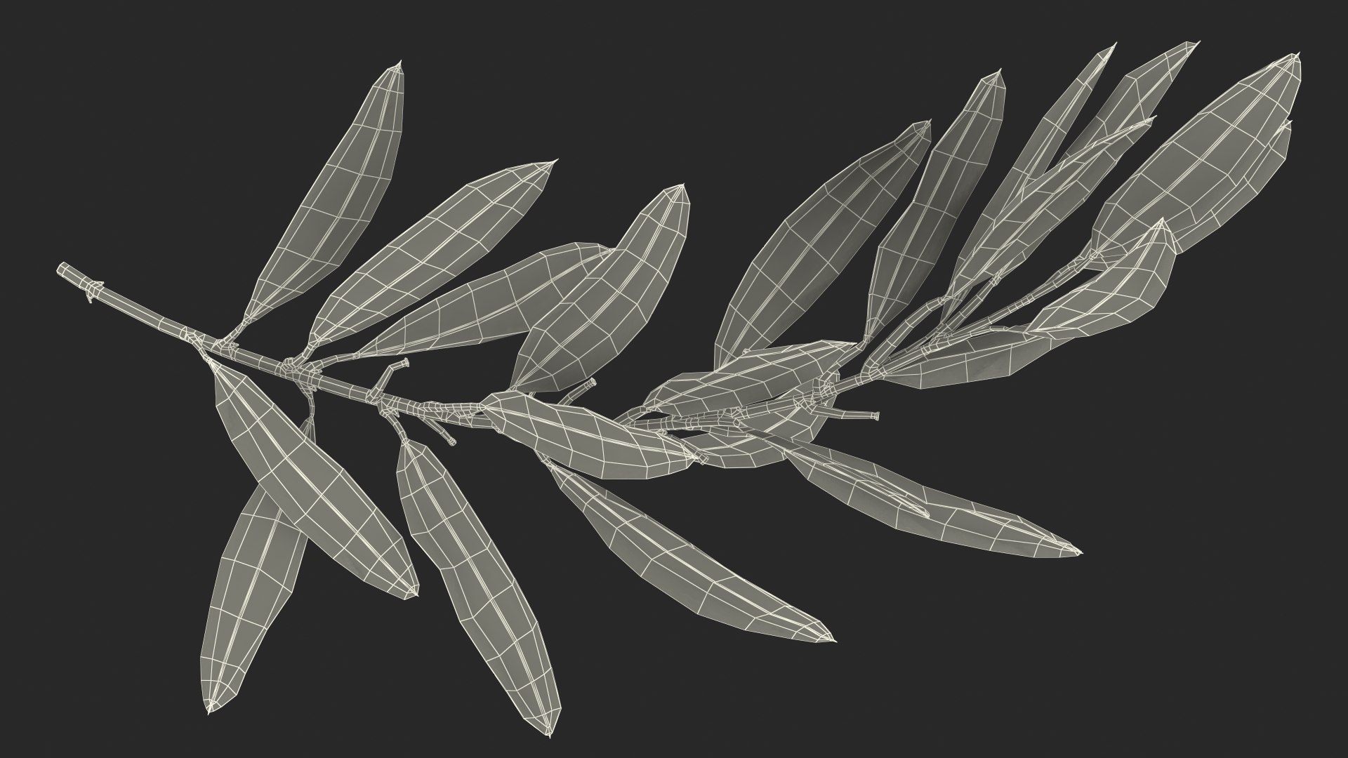 Olive Tree Branch No Olives 3D https://p.turbosquid.com/ts-thumb/8s/maihDj/Ly/olivetreebranchnoolivesvray3dmodel021/jpg/1661158432/1920x1080/fit_q87/75d7c4205cabcc470d4cbaba20cb1ae712f1fbcb/olivetreebranchnoolivesvray3dmodel021.jpg