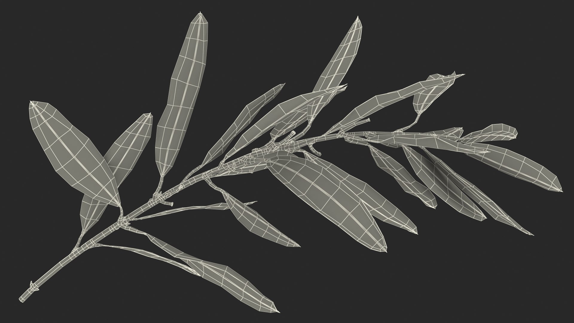 Olive Tree Branch No Olives 3D https://p.turbosquid.com/ts-thumb/8s/maihDj/VR/olivetreebranchnoolivesvray3dmodel020/jpg/1661158429/1920x1080/fit_q87/52d55c4ed494cb757b66c983e9d45f207f7736ee/olivetreebranchnoolivesvray3dmodel020.jpg