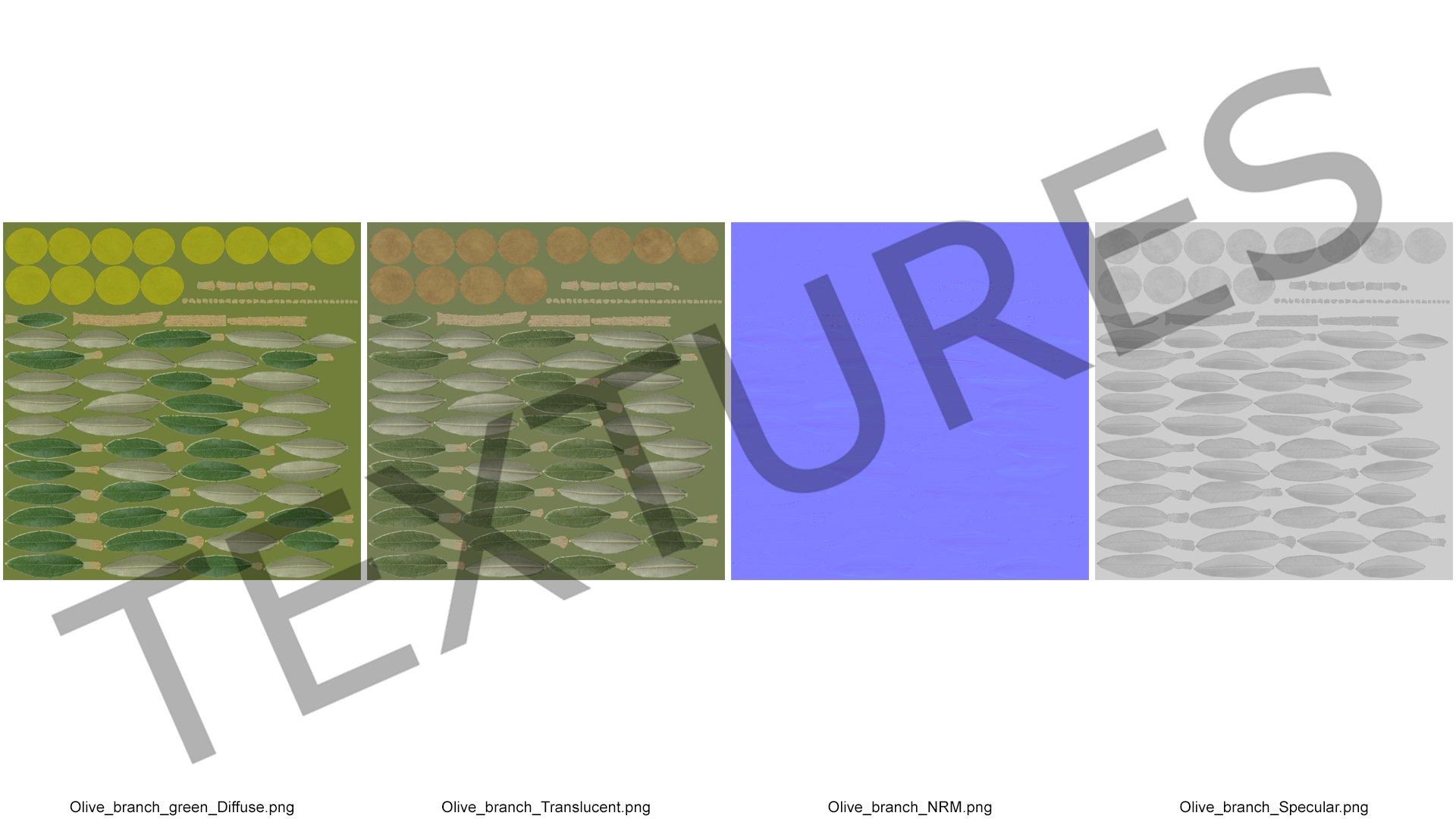 Olive Tree Branch No Olives 3D https://p.turbosquid.com/ts-thumb/8s/maihDj/Y7/olivetreebranchnoolivesvray3dmodel017/jpg/1661158420/1920x1080/fit_q87/6d244235f3c92fcfcaad69de3af1fb89ee946f8e/olivetreebranchnoolivesvray3dmodel017.jpg