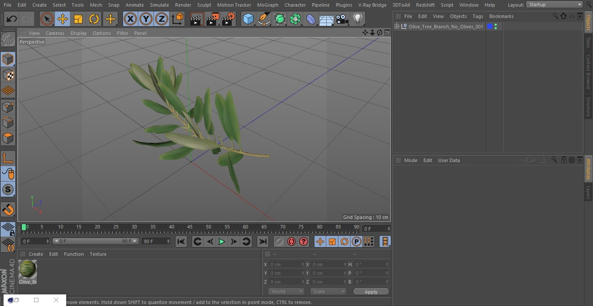 Olive Tree Branch No Olives 3D https://p.turbosquid.com/ts-thumb/8s/maihDj/mY/olivetreebranchnoolivesvray3dmodel028/jpg/1661158451/1920x1080/fit_q87/c5b6c5d50e6ba55a058350913056433dc16c405e/olivetreebranchnoolivesvray3dmodel028.jpg