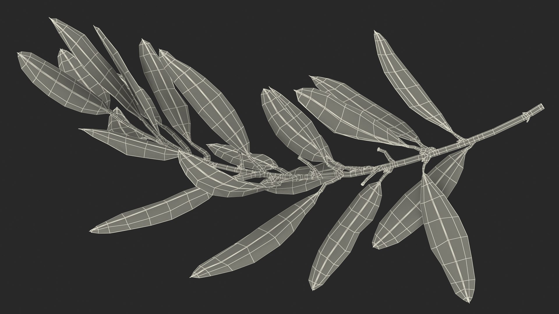 Olive Tree Branch No Olives 3D https://p.turbosquid.com/ts-thumb/8s/maihDj/nS/olivetreebranchnoolivesvray3dmodel022/jpg/1661158435/1920x1080/fit_q87/ec0065240e7567833d774be3f113399a85613df5/olivetreebranchnoolivesvray3dmodel022.jpg