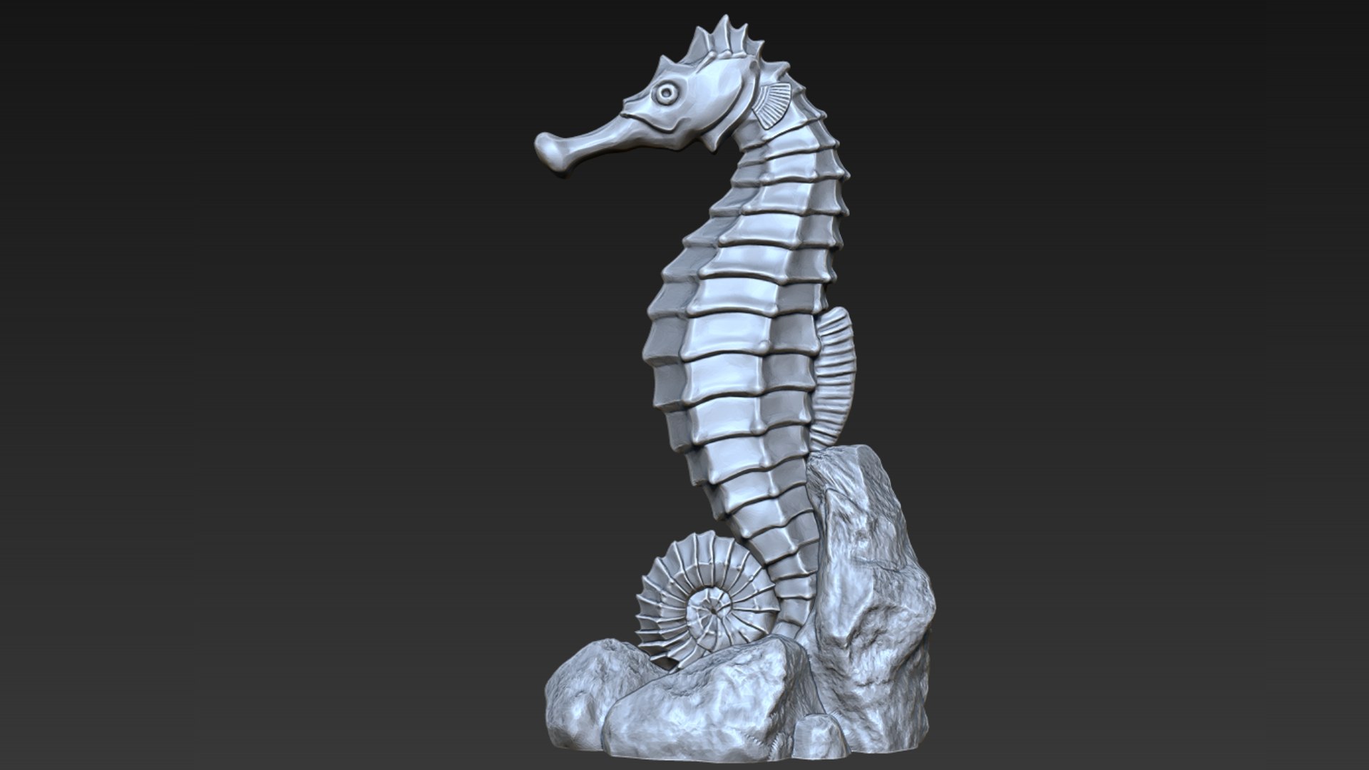 SeaHorse 3D Model - TurboSquid 2213226