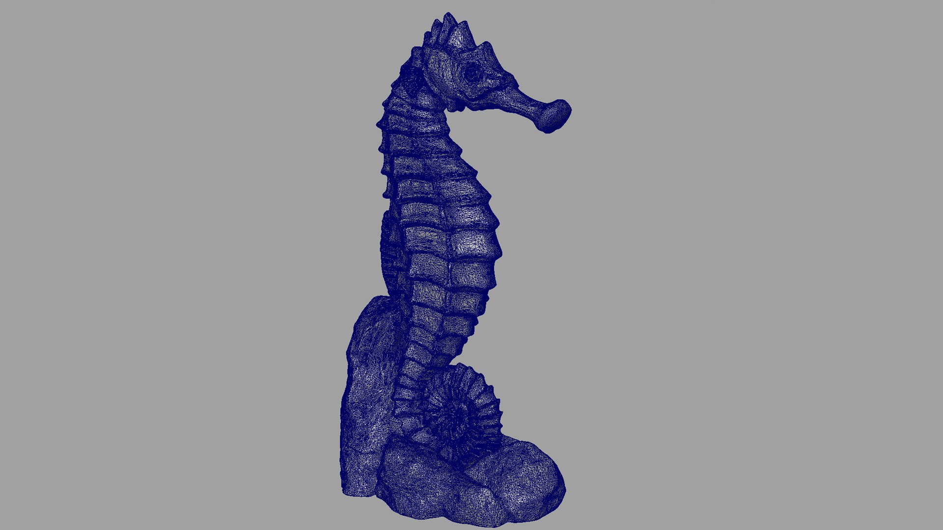 SeaHorse 3D Model - TurboSquid 2213226