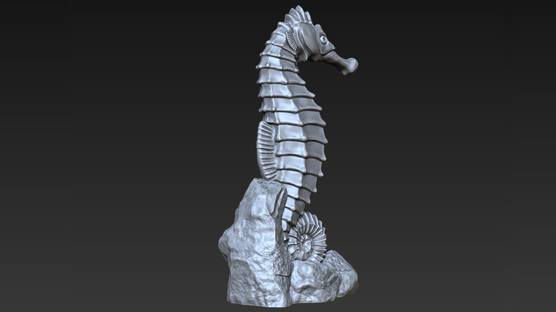 SeaHorse 3D Model - TurboSquid 2213226