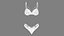 Lingerie