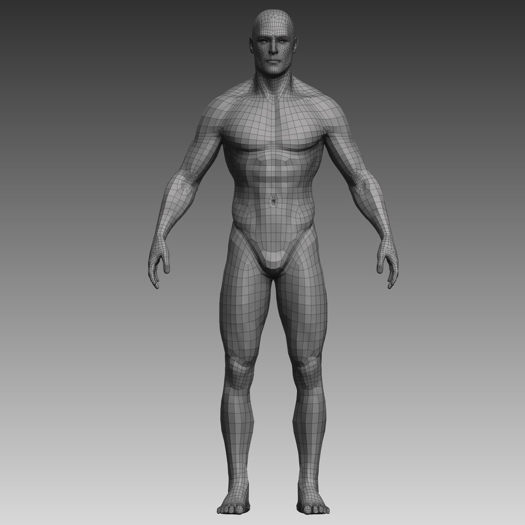 Anatomical body man 3D model - TurboSquid 1697703