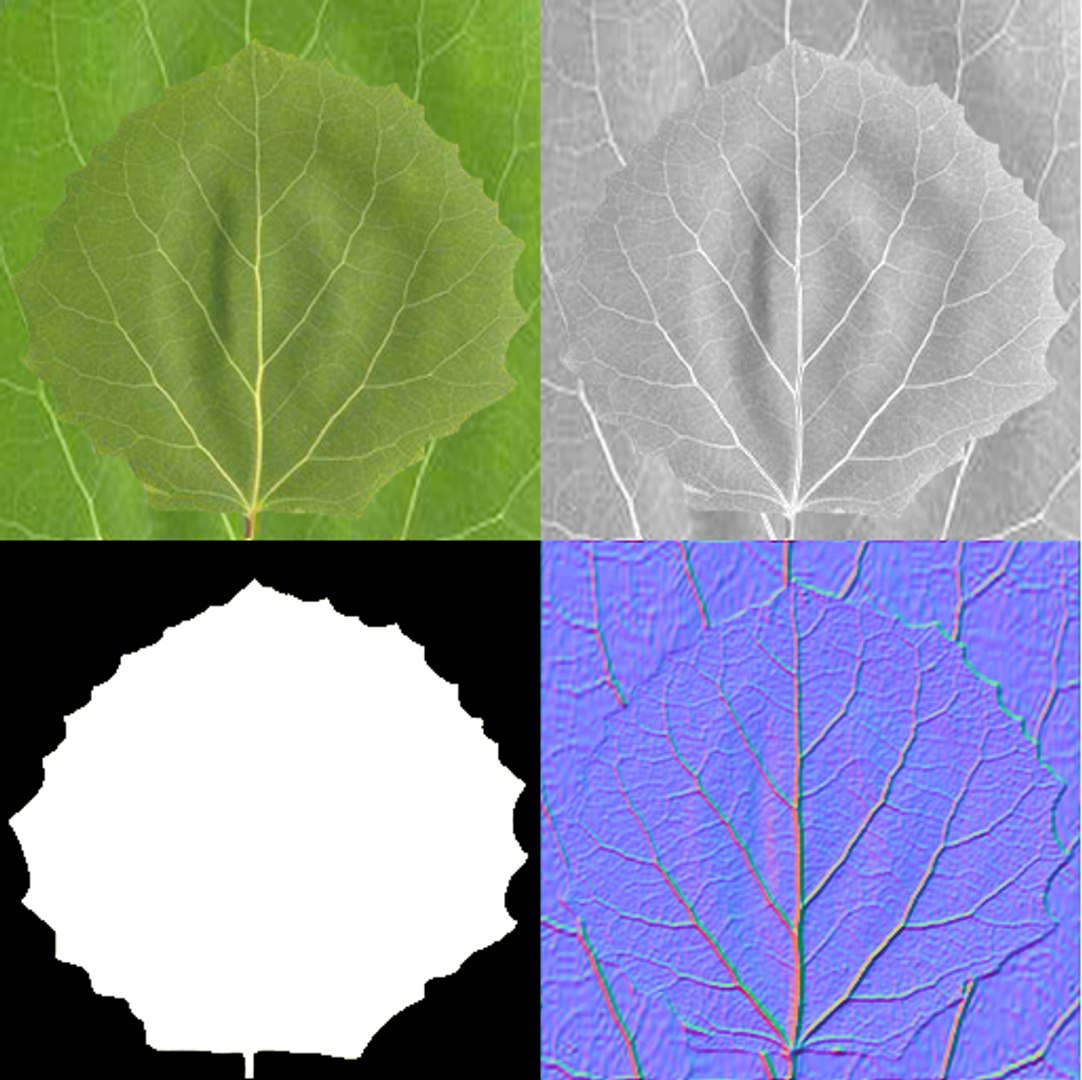 3D Poplar Trees - TurboSquid 1293108