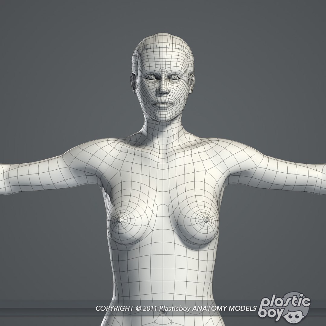 essentials male female anatomy 3d model https://p.turbosquid.com/ts-thumb/8t/G7FluL/DlI21Op1/female_anatomy_complete_wf_02/jpg/1337091034/1920x1080/fit_q87/8a6d598e2743b9f6ac7e480dbfd614c63d927b18/female_anatomy_complete_wf_02.jpg